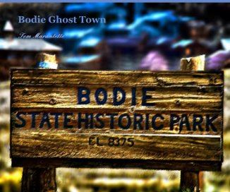Bodie Ghost Town book cover