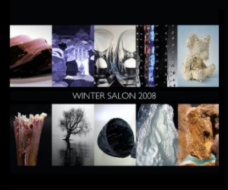 Winter Salon 2008 book cover