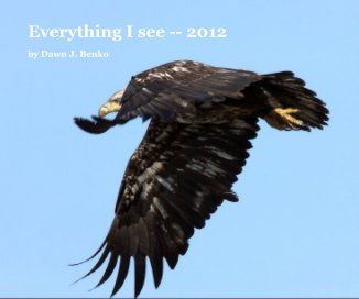 Everything I see -- 2012 book cover