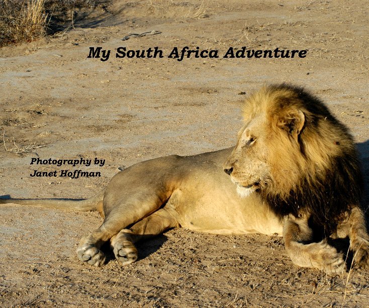 Ver My South Africa Adventure por Janet Hoffman