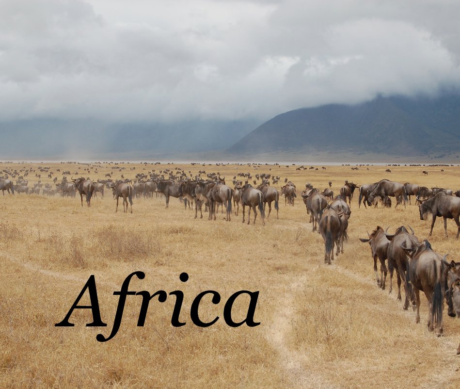 View Africa by gailofiowa