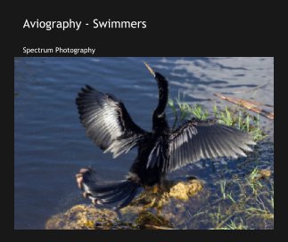 Aviography - Swimmers book cover