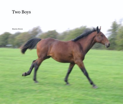 Two Boys book cover