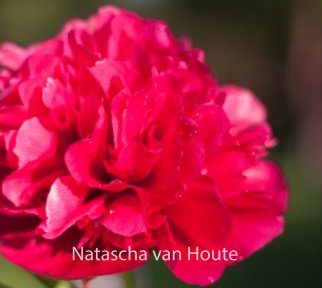 Natascha van Houte book cover