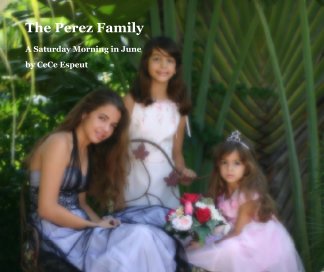 The Perez Family book cover