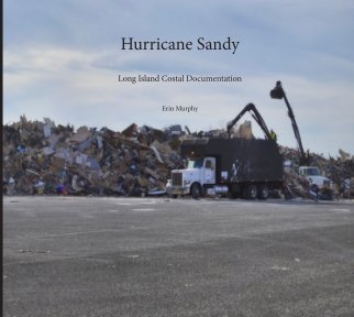 Hurricane Sandy book cover