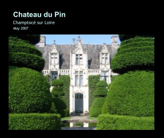 Chateau du Pin book cover