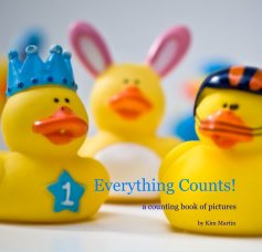 Everything Counts! book cover