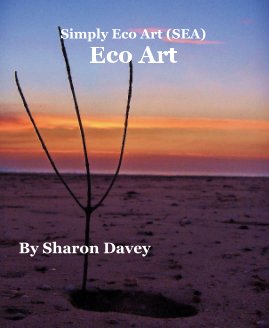 Eco Art book cover