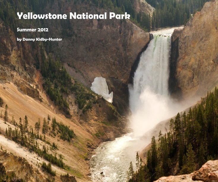 View Yellowstone National Park by Danny Kidby-Hunter