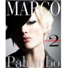 Portfolio 2 book cover