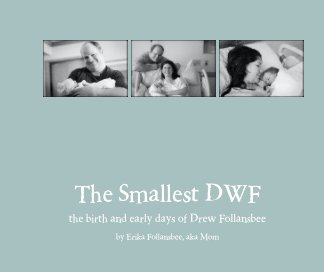 The Smallest DWF book cover