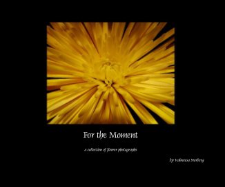 For the Moment book cover