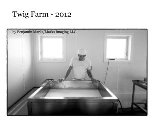 Twig Farm - 2012 book cover