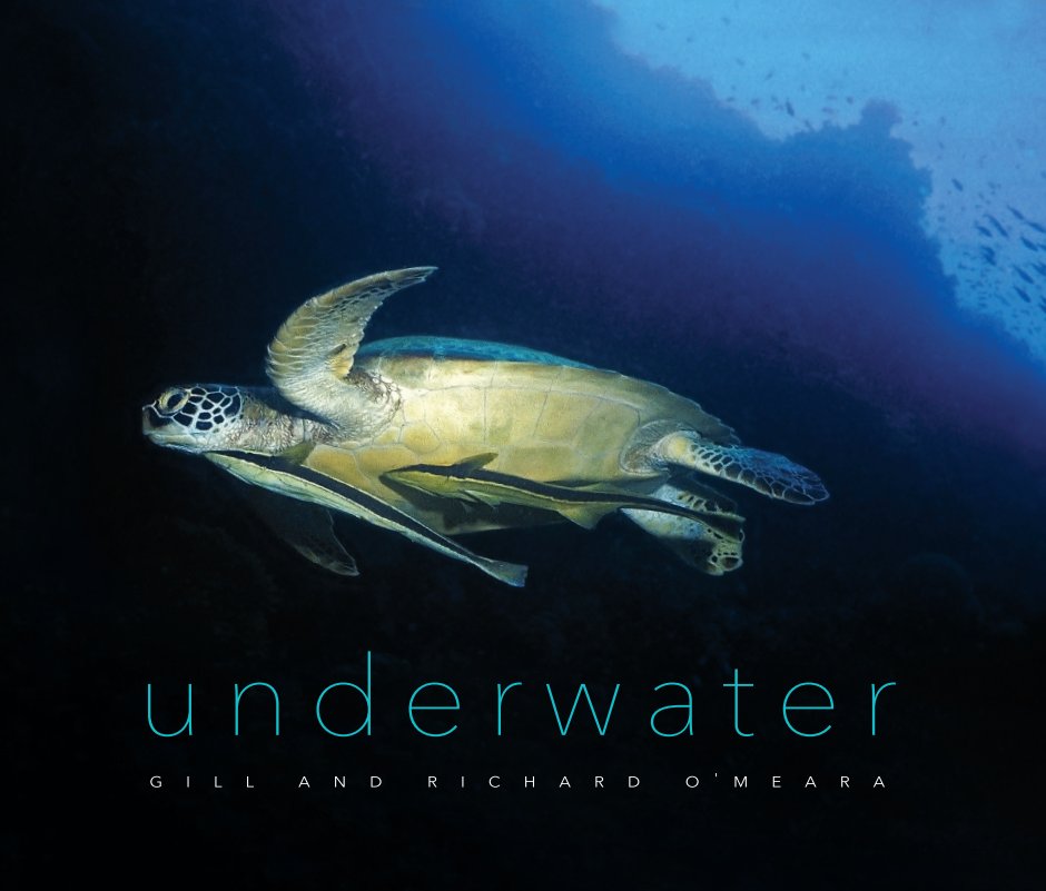 View underwater by Gill and Richard O'Meara