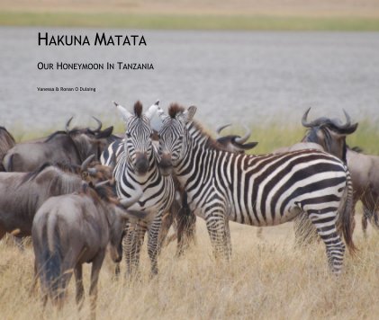 HAKUNA MATATA OUR HONEYMOON IN TANZANIA book cover