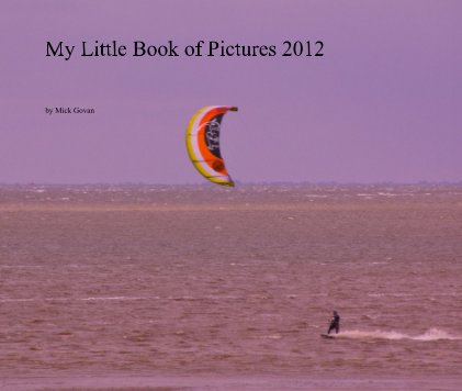 My Little Book of Pictures 2012 book cover