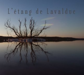 L'étang de Lavalduc book cover
