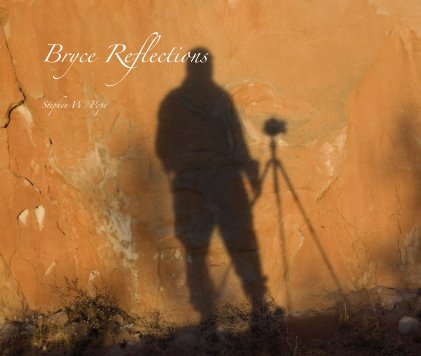 Bryce Reflections book cover