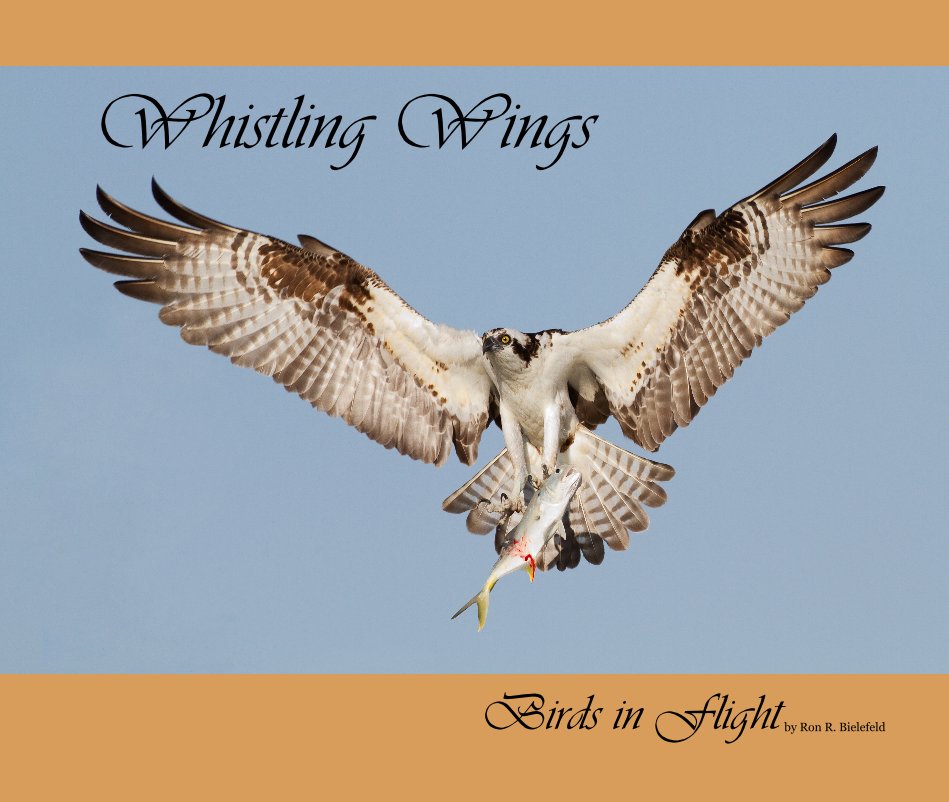 View Whistling Wings by Birds in Flight by Ron R. Bielefeld
