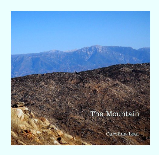 Ver The Mountain por Carolina Leal