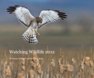 Watching Wildlife 2012 book cover