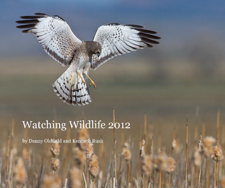View Watching Wildlife 2012 by Danny Oldfield