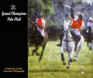 Wellington Polo Nov 18, 2012 book cover