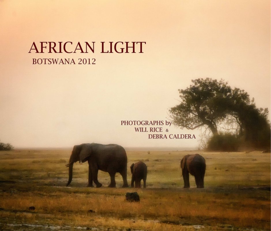 View African Light by Will Rice