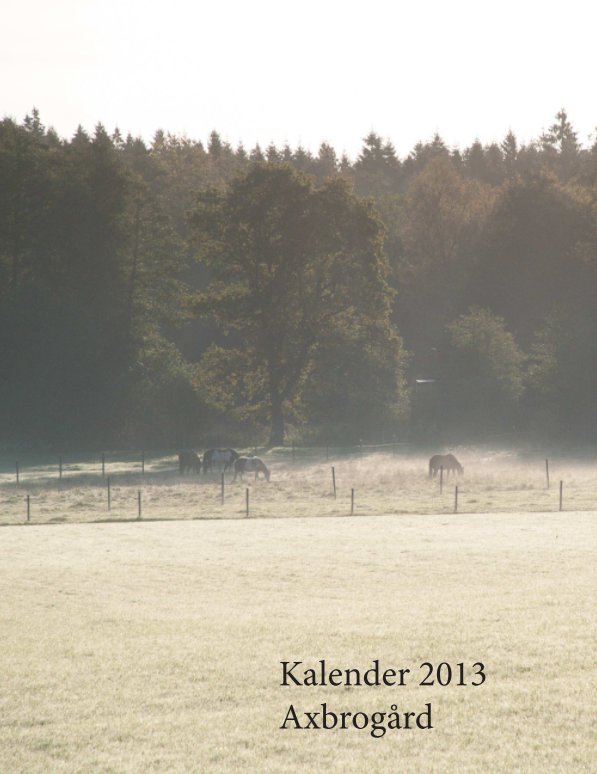 View Kalender 2013 by Axbrogård