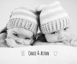 Chase & Aston book cover