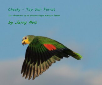 Cheeky - Top Gun Parrot book cover