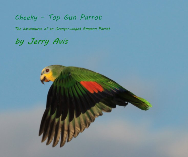 Cheeky - Top Gun Parrot nach Jerry Avis anzeigen