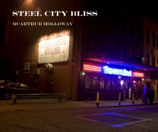 Steel City Bliss book cover