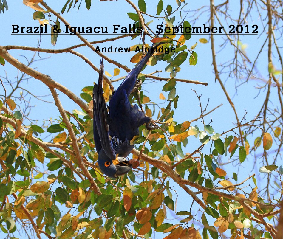 View Brazil & Iguacu Falls - September 2012 by Andrew Aldridge