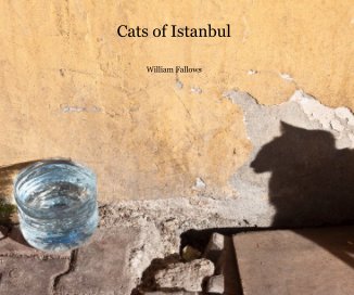 Cats of Istanbul book cover