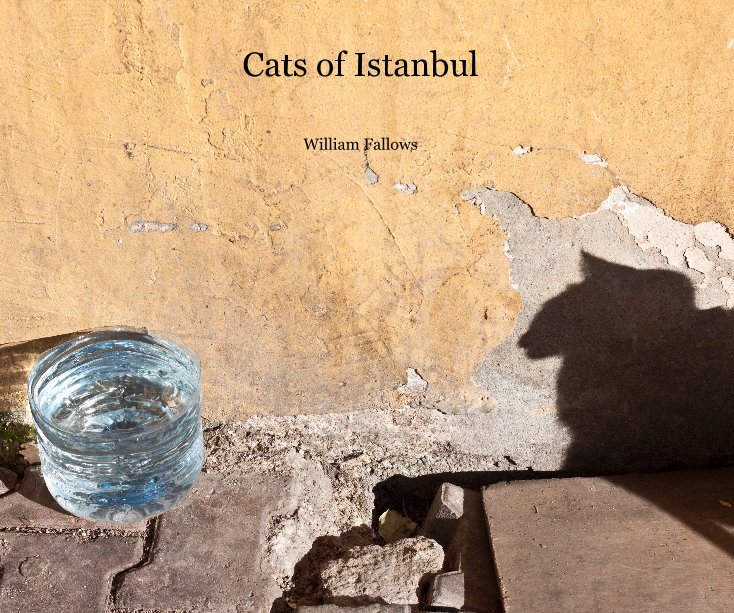 View Cats of Istanbul by William Fallows