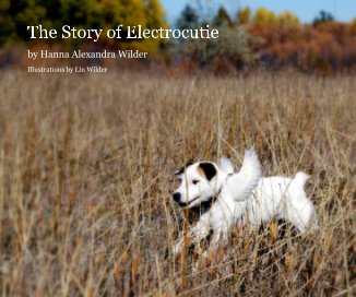 The Story of Electrocutie book cover