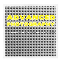 Advanced Photography Fall 2012 book cover