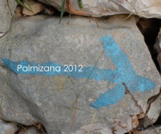 Palmizana 2012 book cover