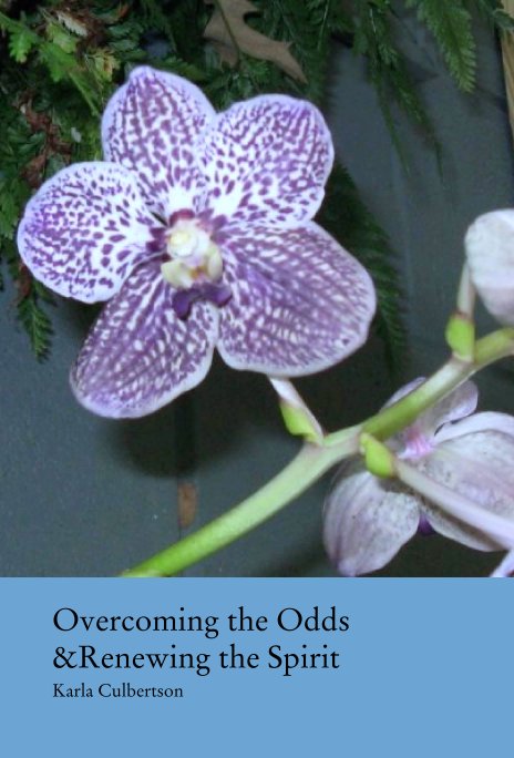 View Overcoming the Odds &Renewing the Spirit by Karla Culbertson
