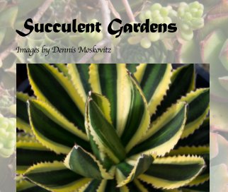 Succulent Gardens book cover