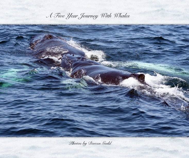 Ver Five Years of Whales por Photos by Doreen Guild