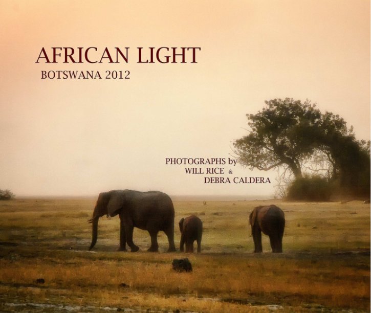 View African Light by Will Rice