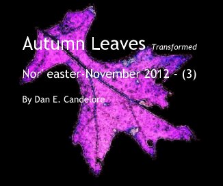 Autumn Leaves Transformed book cover