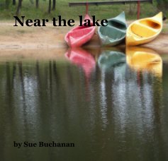 Near the lake book cover