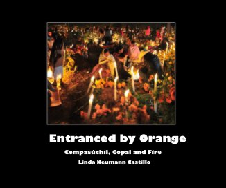 Entranced by Orange book cover