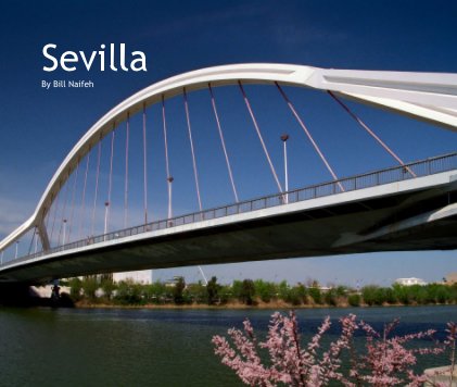 Seville book cover