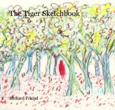 The Tiger Sketchbook book cover