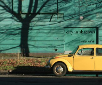 city in shadows book cover